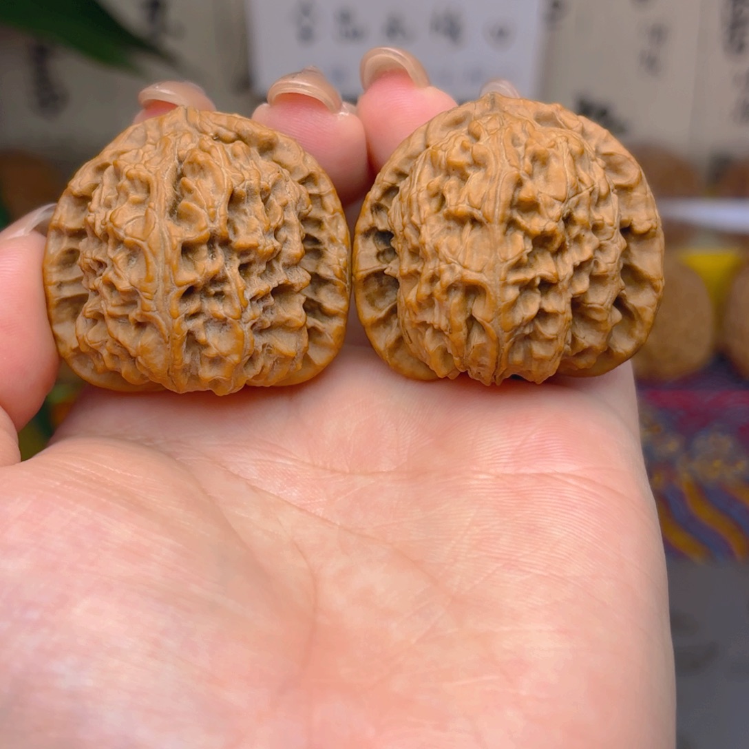 白狮子头三十八尺