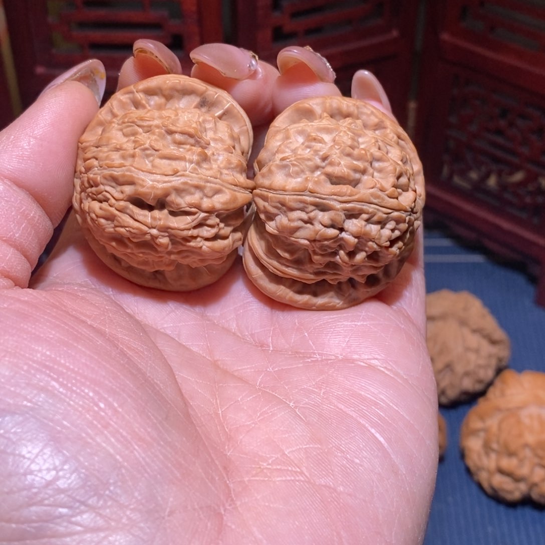 车*40.5全品球白白狮子精配