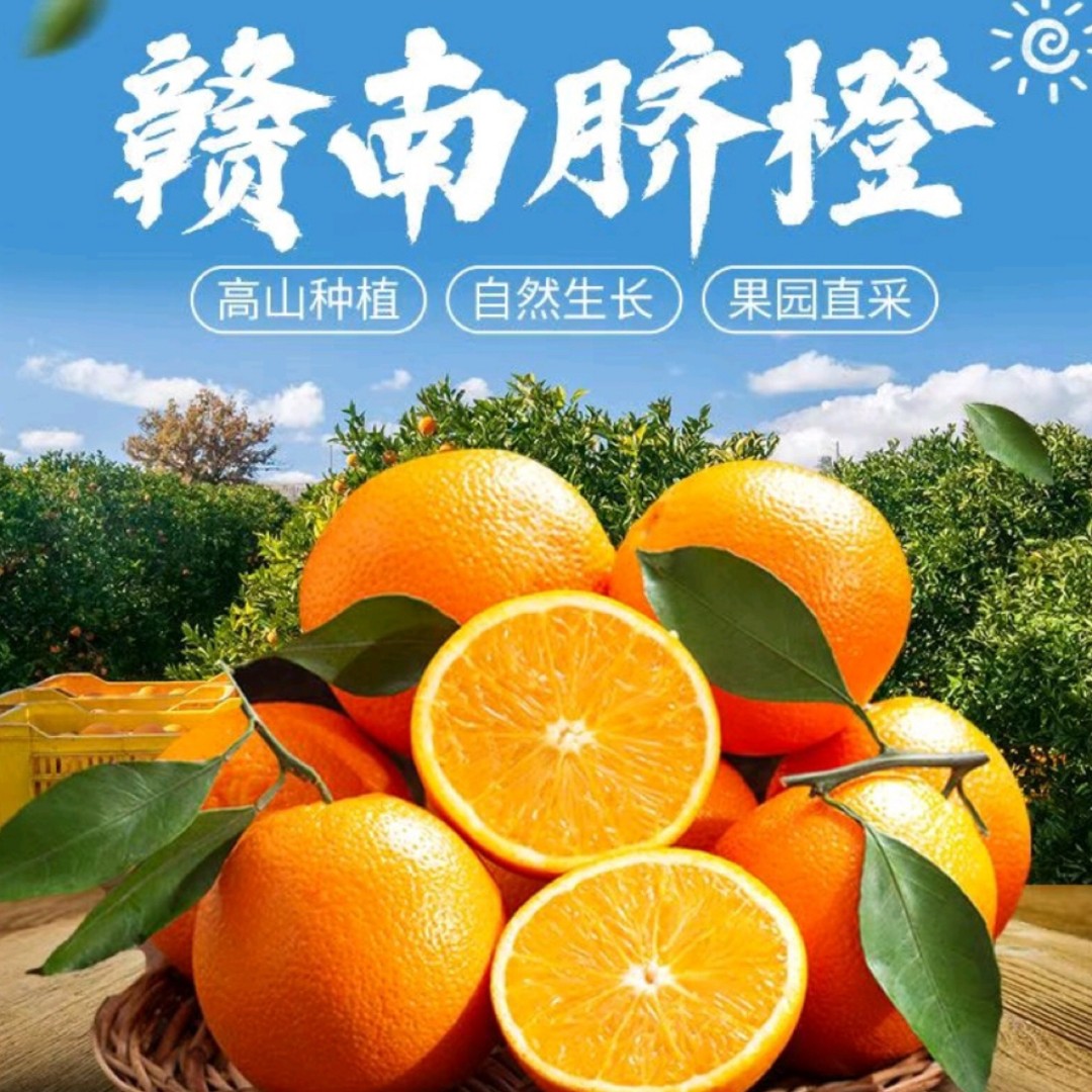 赣南脐橙橙子10斤装原生态新鲜采摘赣州产地直发现摘现发鲜甜多汁
