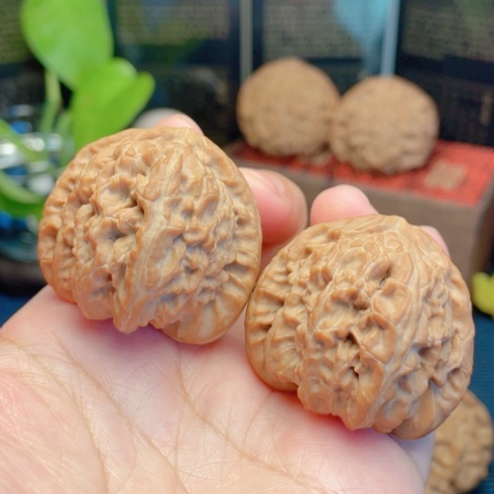 文玩核桃吊坠38全品角白