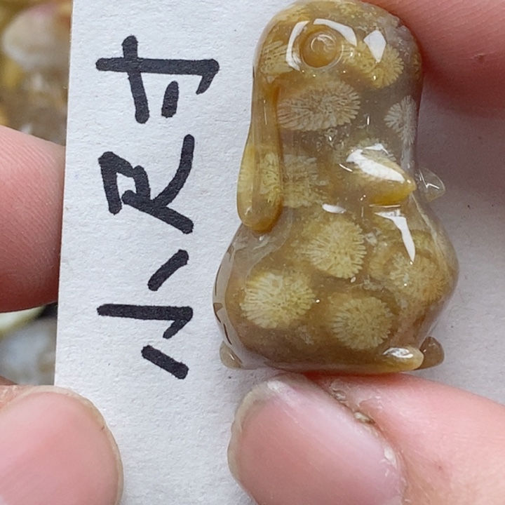 颈饰未镶嵌硅化珊瑚（珊瑚玉）