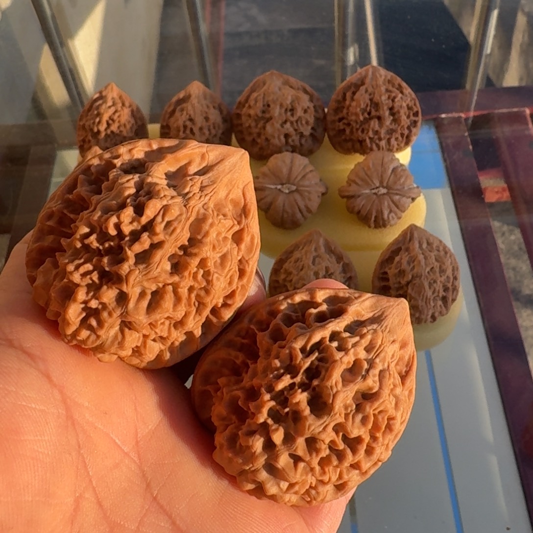 东***哥核桃文玩核桃官帽45