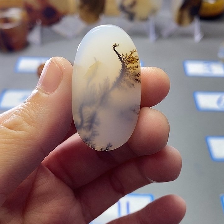 玛瑙/玉髓未镶嵌珠宝半成品169