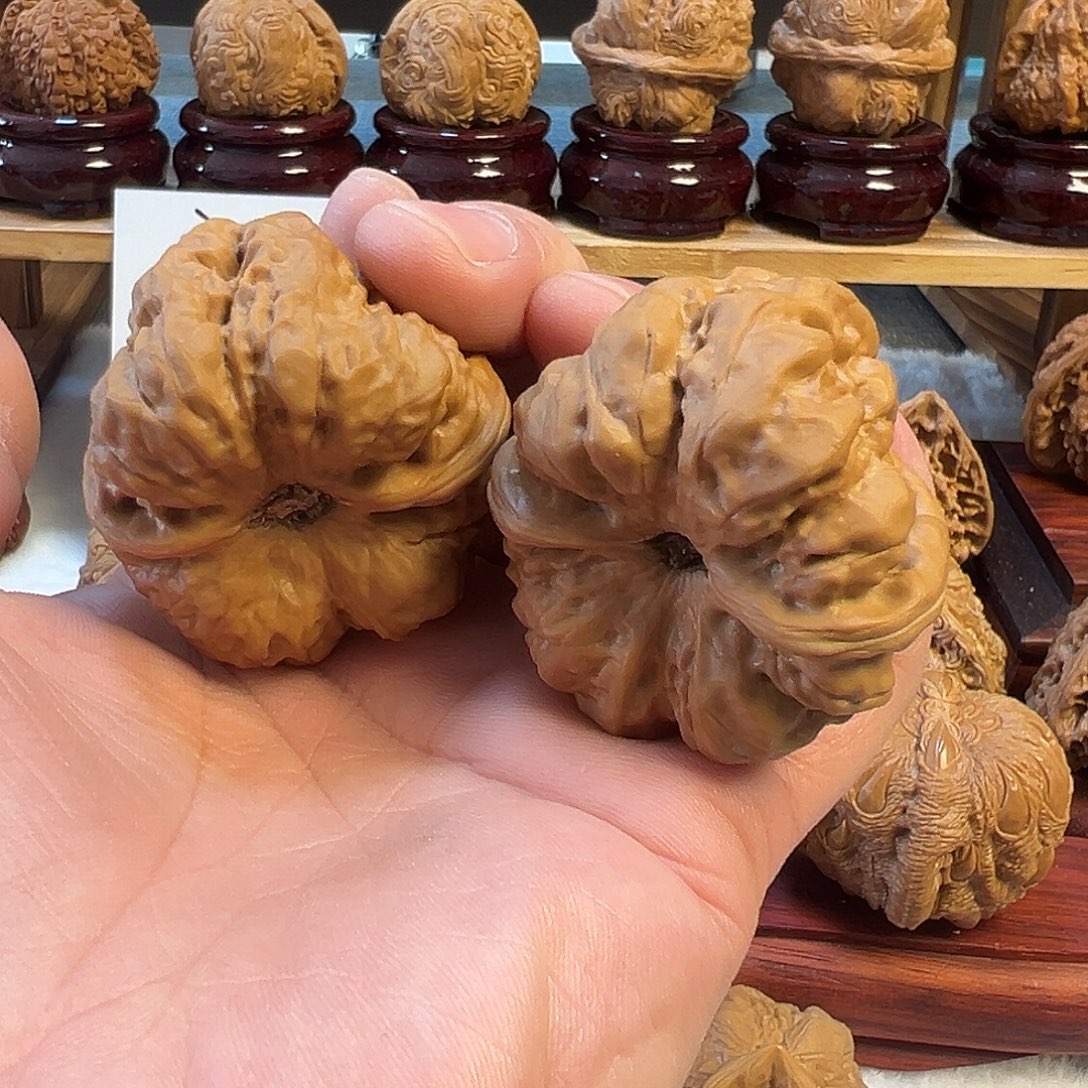 森***核桃蛤蟆大尺码精品