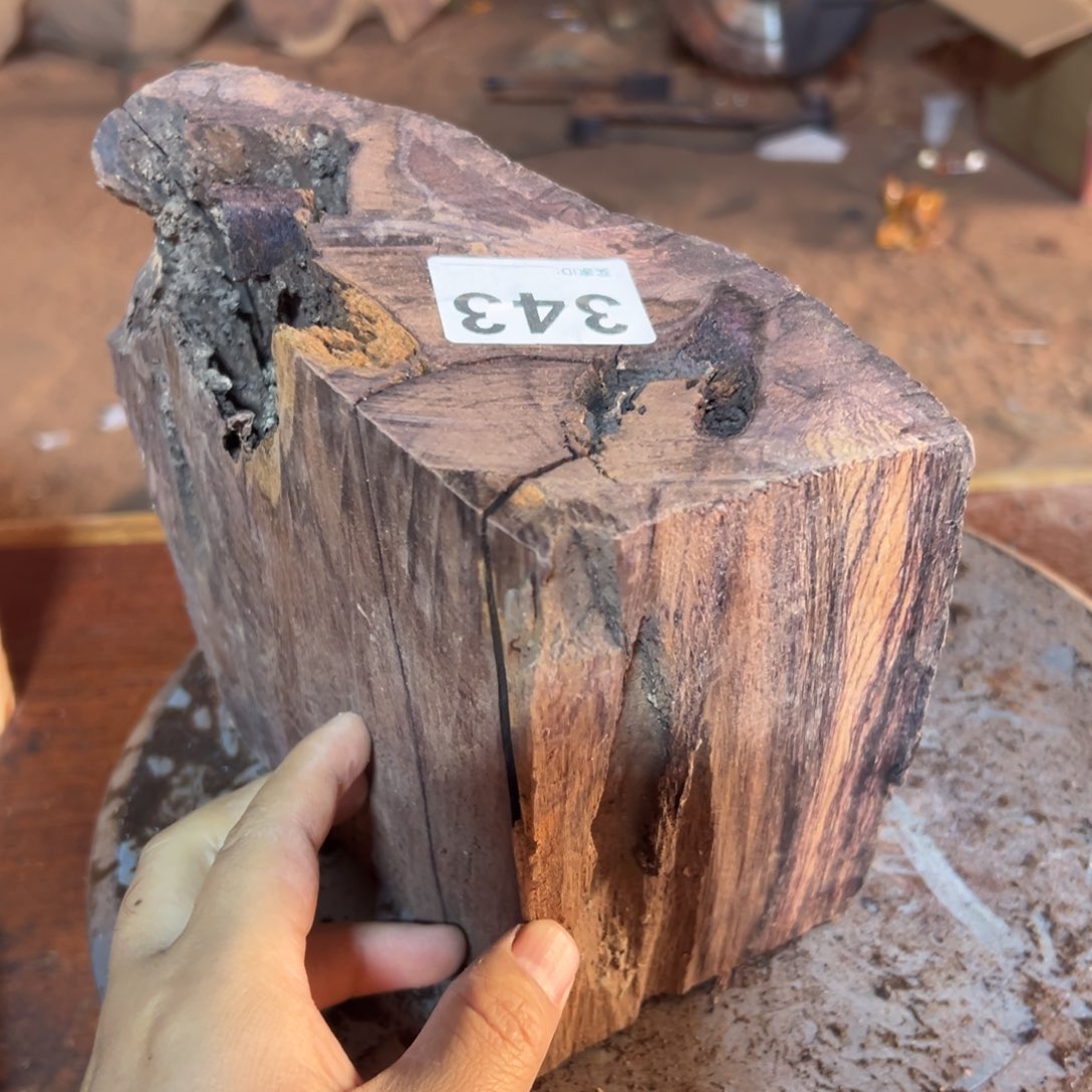 大果紫檀（缅甸花梨）