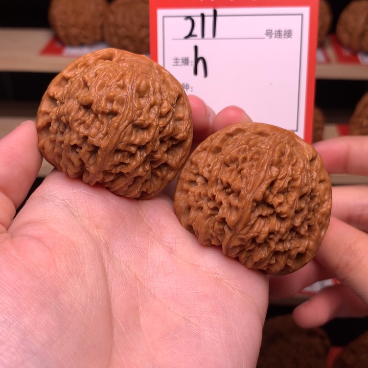 核桃41+南疆石211号