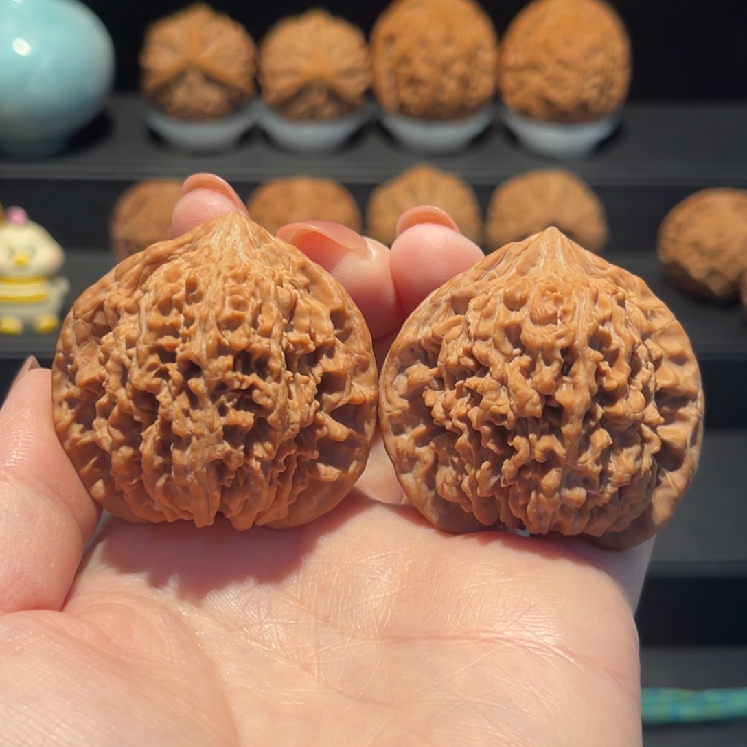 狼***牙满天星44精品，全品355