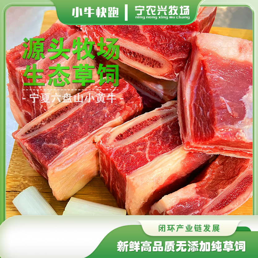 带骨牛肋排/牛排骨/牛肋排/宁夏六盘山小黄牛