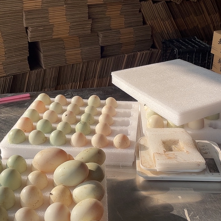 高***妞包装中国大陆30g鸭蛋