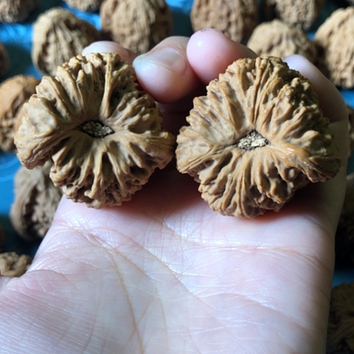 【闪购商品】文玩核桃把件清*色一大将