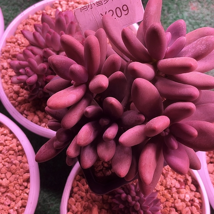 我是第一百位申请创建我的小