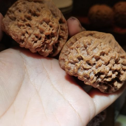 猴头核桃吊坠50龙鼎官帽