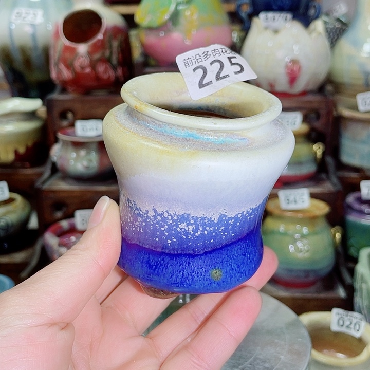 狼盆内口径5高度7