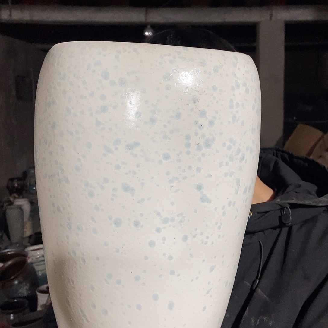 瑕疵19/33ghfhgghggg花盆