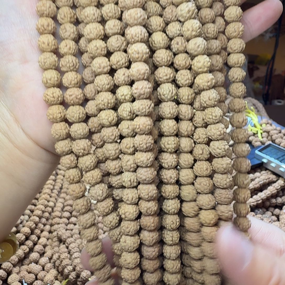 金刚菩提吊坠金蝉蛤蟆背  1条  
