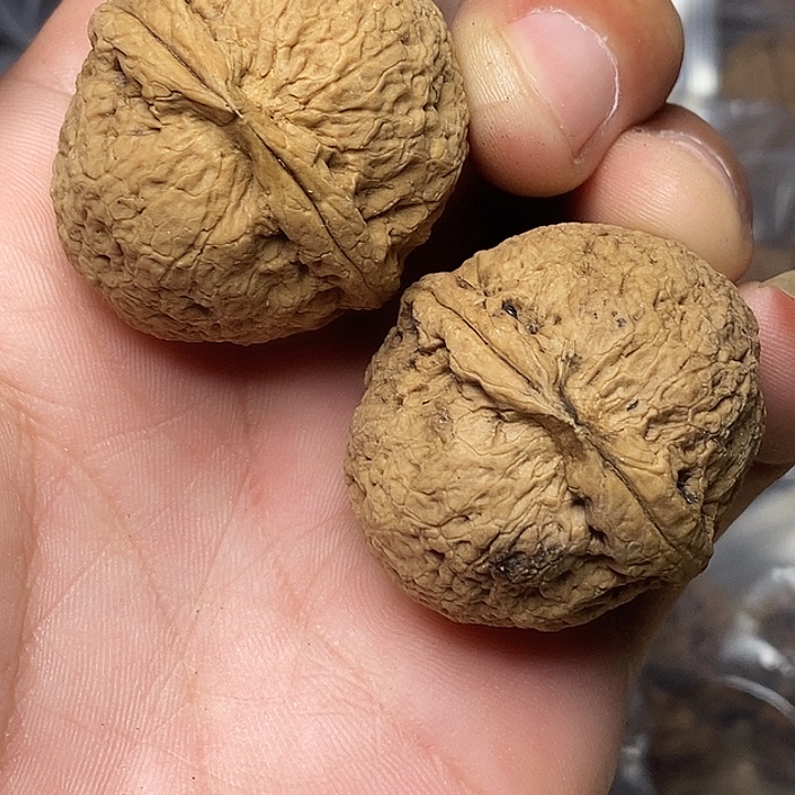 文玩核桃把件志成云铁文玩35