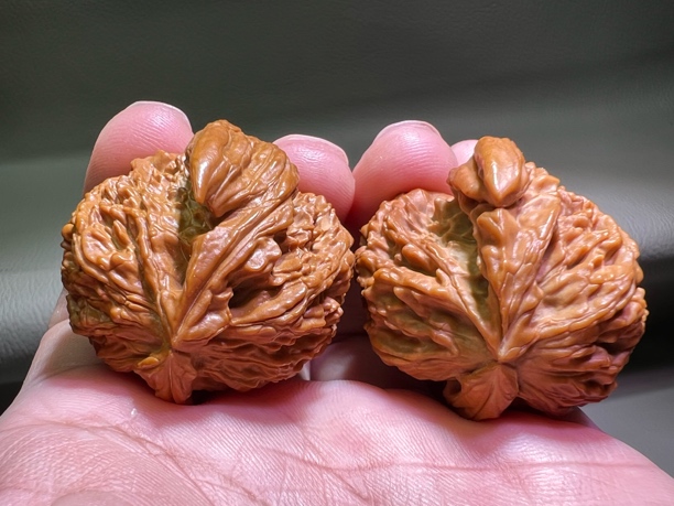 文玩核桃白狮子犀牛角男士手把玩收藏