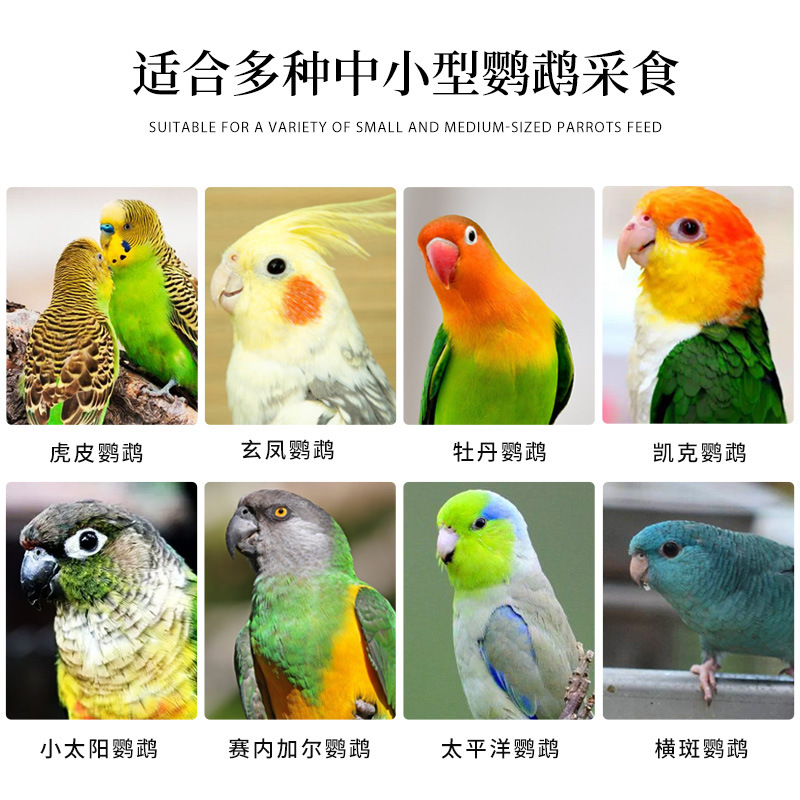 开元1000g中小型鹦鹉鹦鹉食粮鸟粮饲料虎皮玄凤牡丹鹦鹉谷子鸟食