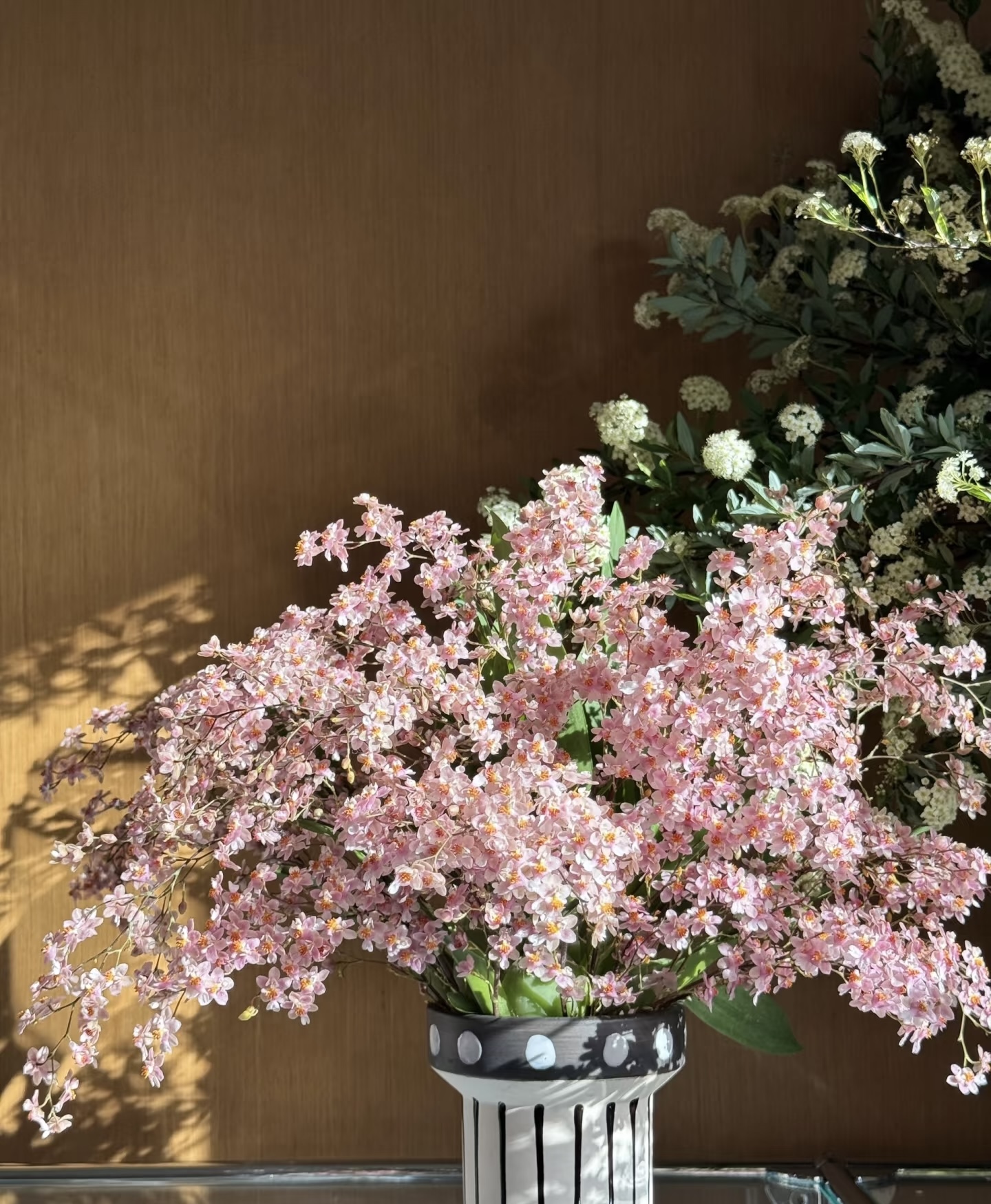 【光宗粉 梦香兰】一物一拍  到手两盆精品好货 基地直发  带香