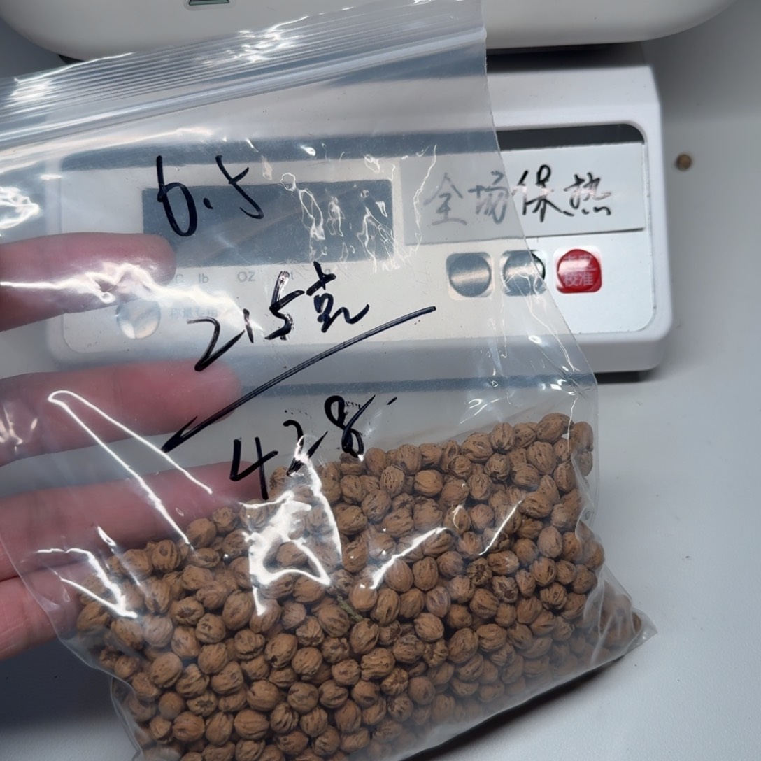 S***r柏香籽/百香籽吊坠