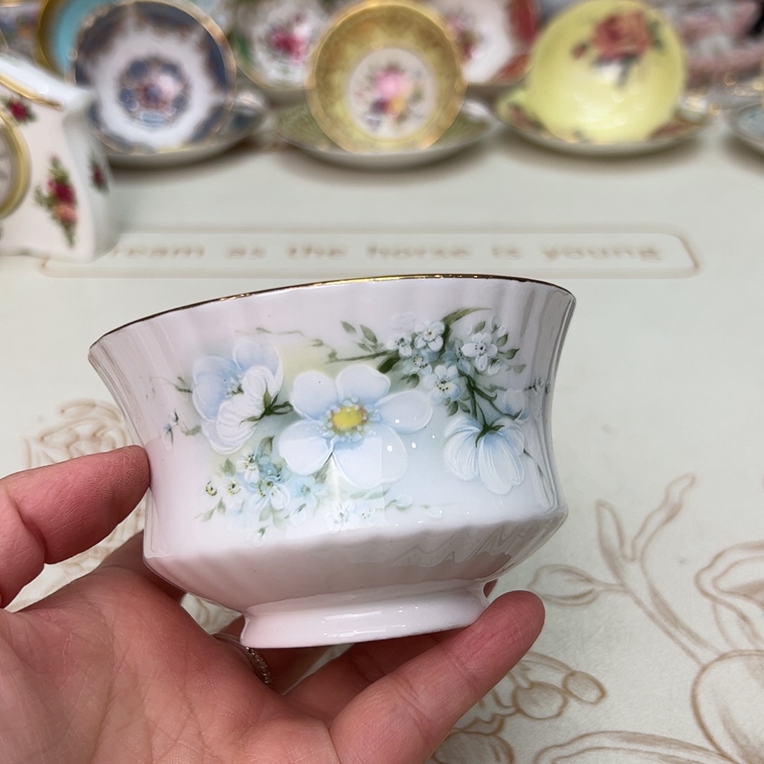 盘维多利亚欧洲中古