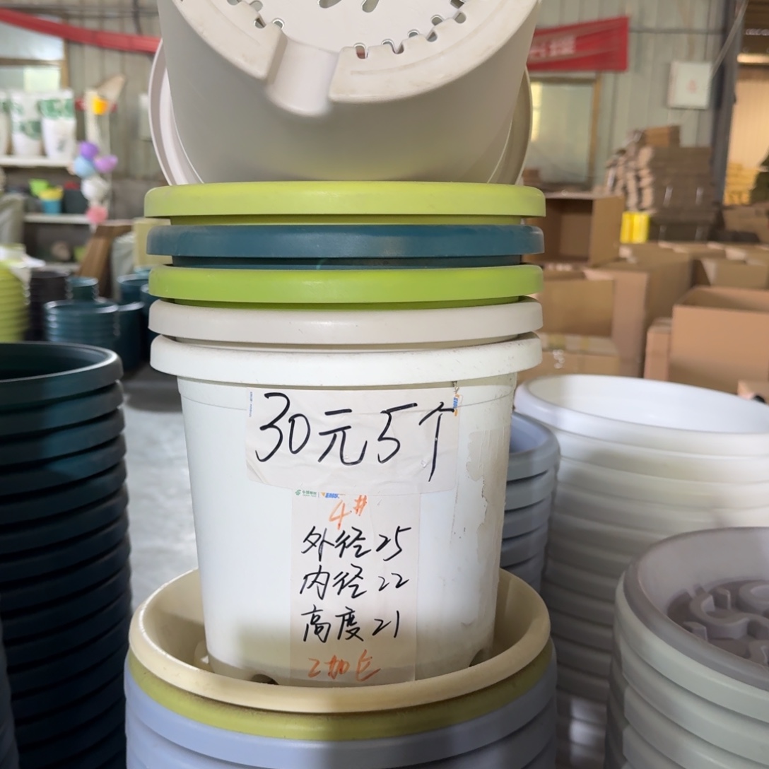 四季4#口径25无拖果绿8个