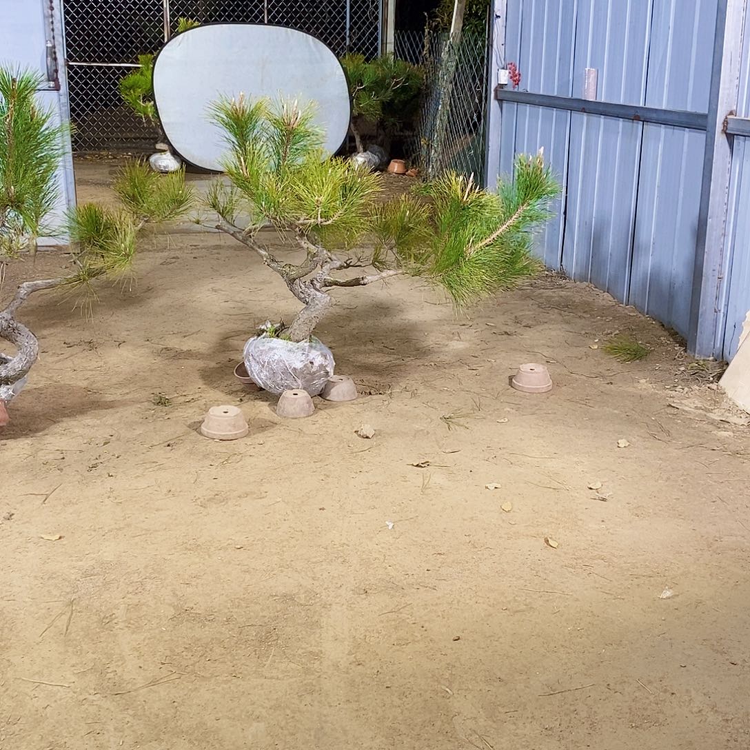 贵***司完全开放11111111111111