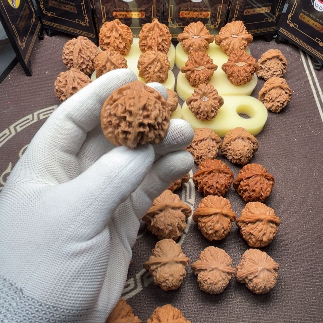 東****核桃龙门间111111111