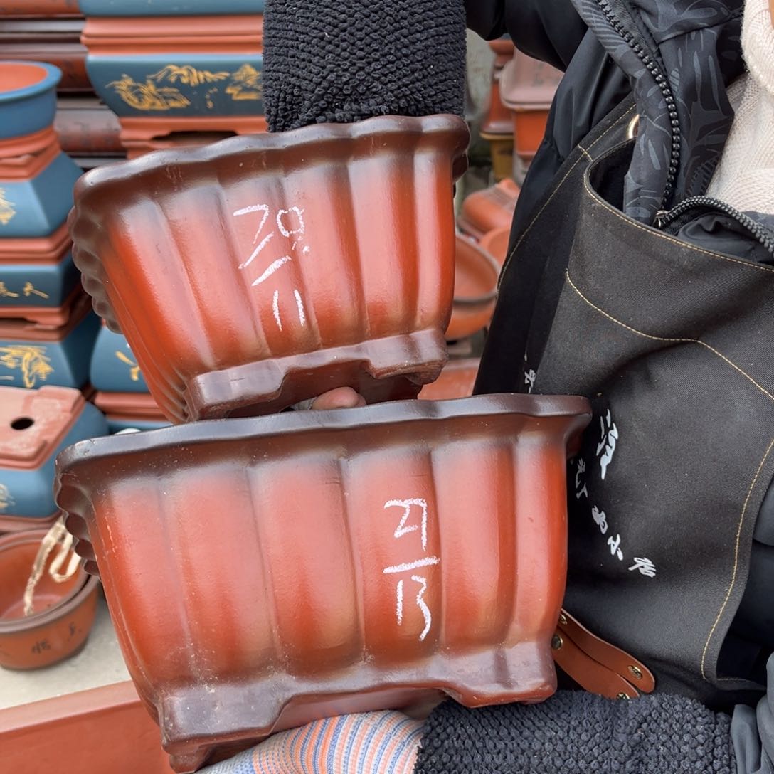 紫砂花盆盆景艺术