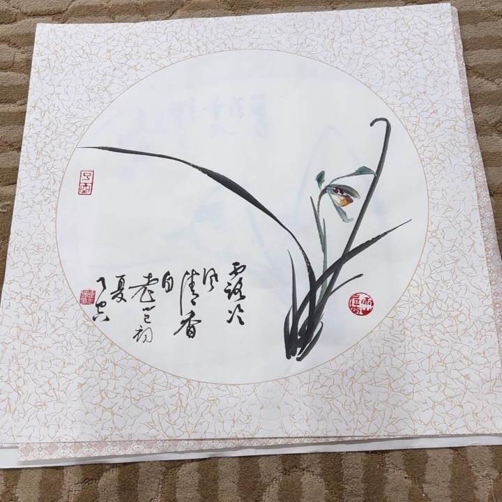 国画花鸟等多种鸟类和鸟类为