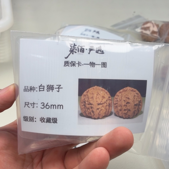 文玩核桃把件36白狮子