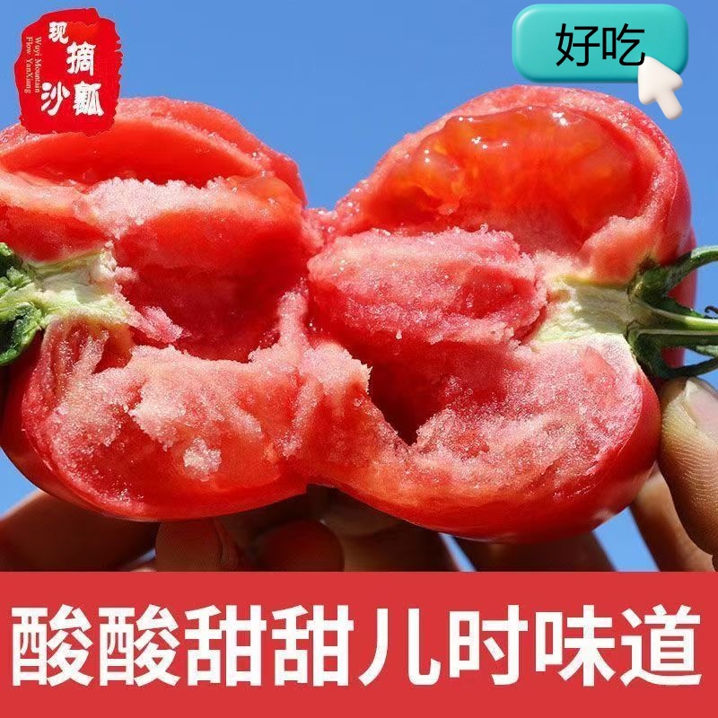 沙瓤西红柿自然熟酸甜多汁可生吃的新鲜水果番茄