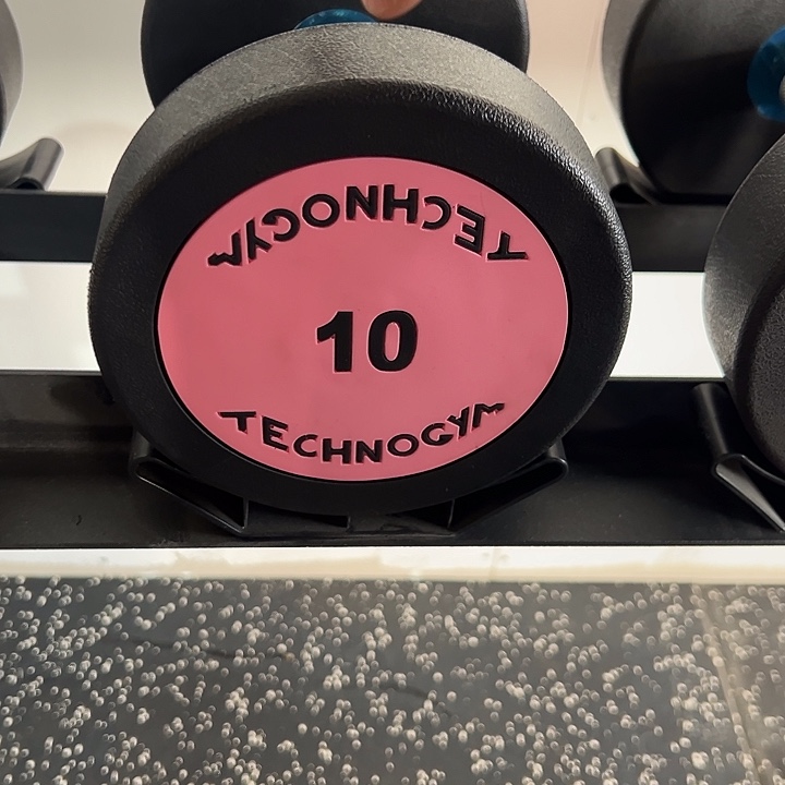 全新纯钢泰诺10公斤哑铃一对粉色