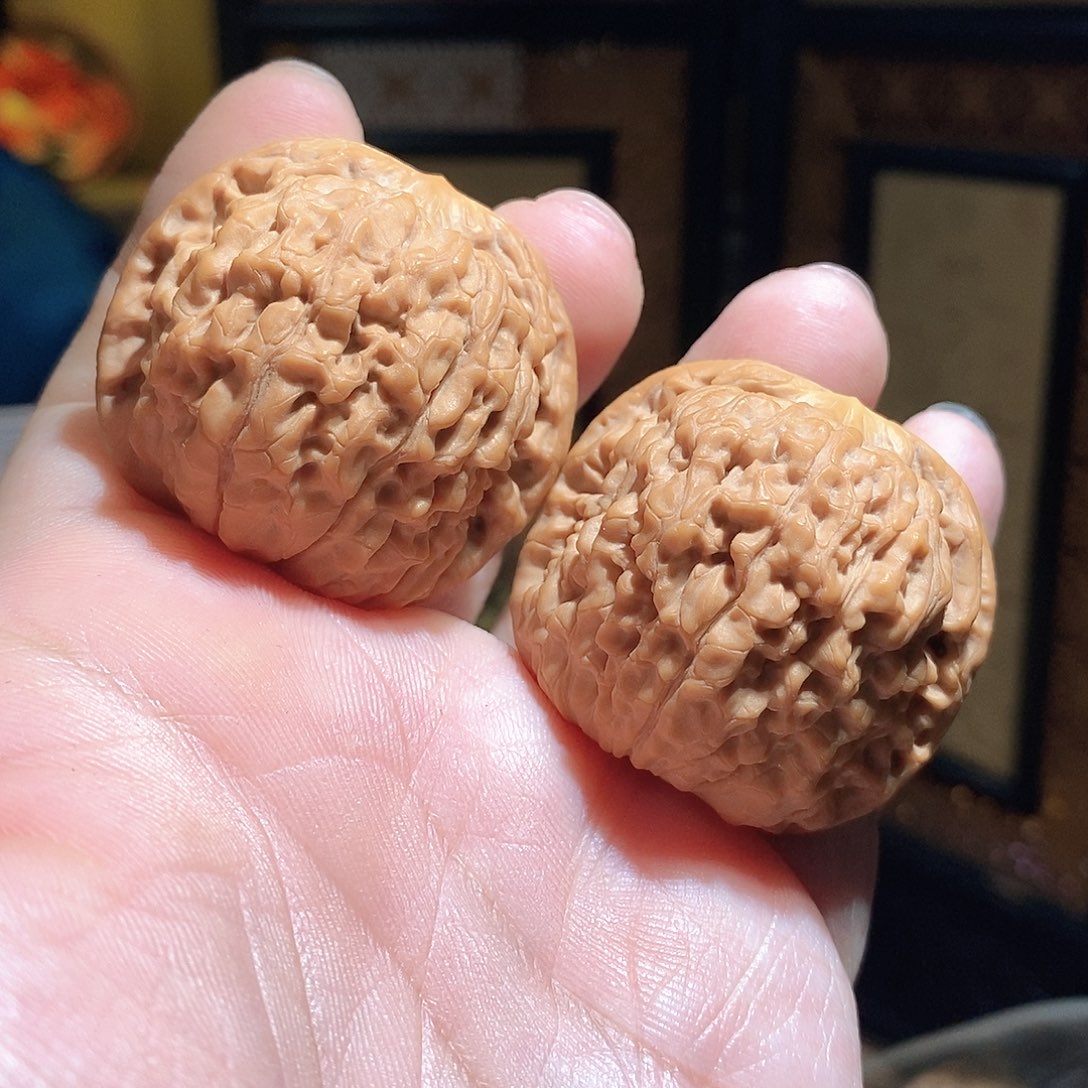 文玩核桃把件41莲花微修