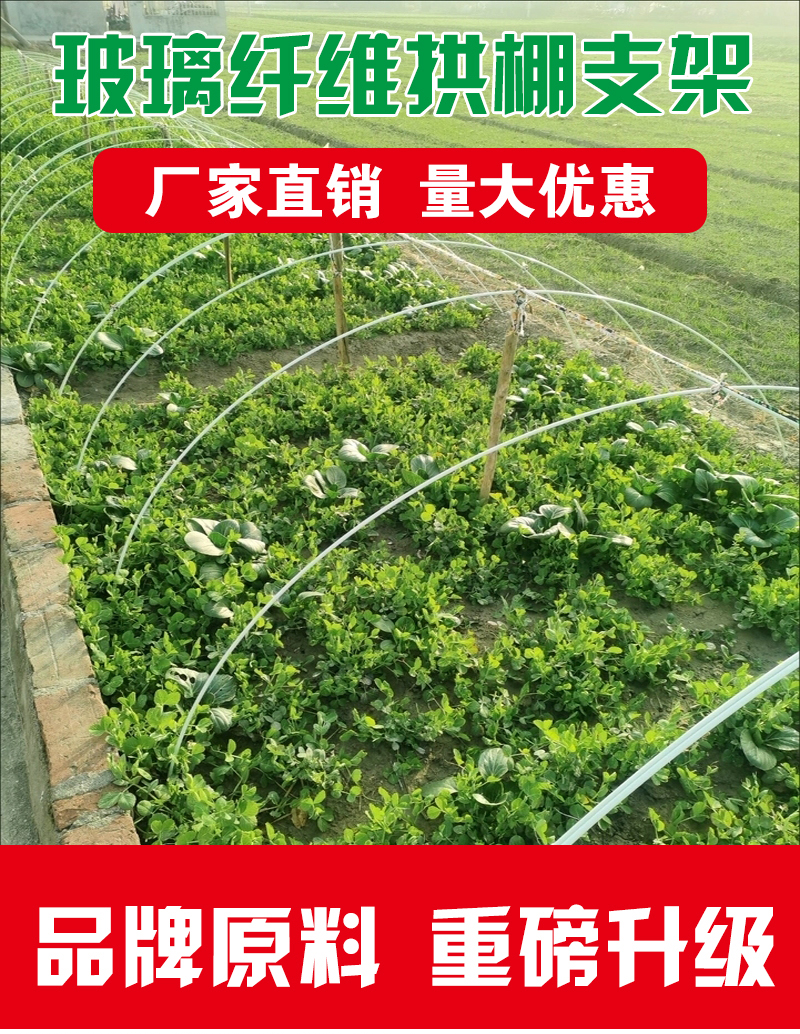 玻璃纤维实心杆大棚搭棚瓜果蔬菜架子代替竹子结实耐用