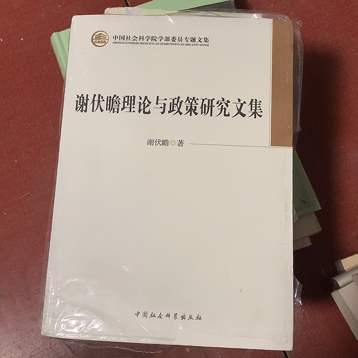 C***e谢伏瞻理论与政策