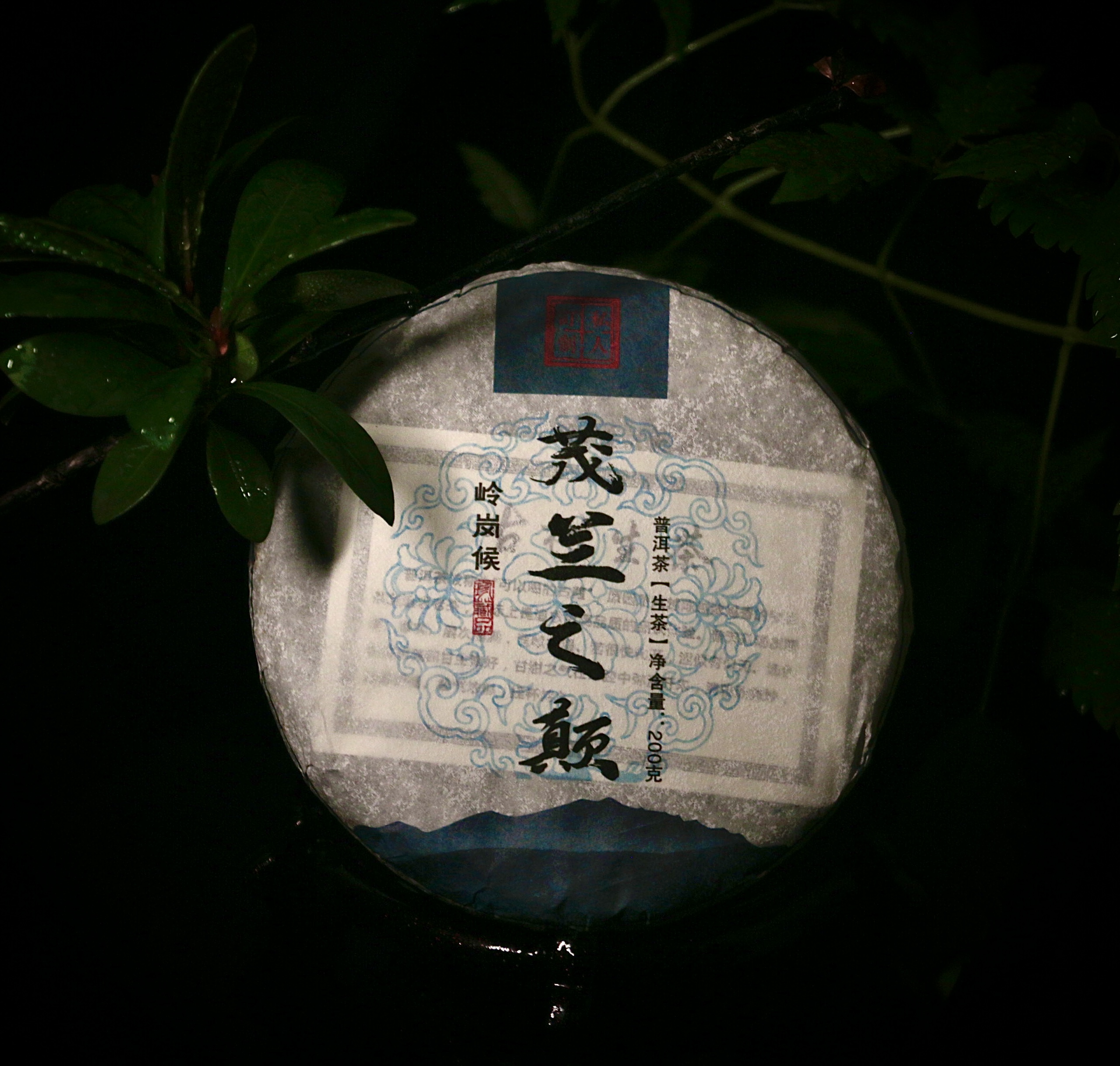 2021年茂兰之巅岭岗侯古树普洱茶生茶