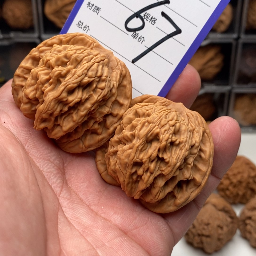 子*.46全品麦穗虎头一对