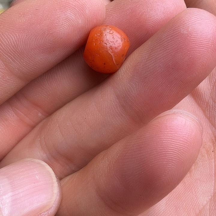 B***n合金类哈哈哈哈哈哈哈哈哈哈