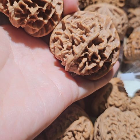 文玩核桃吊坠50帝王