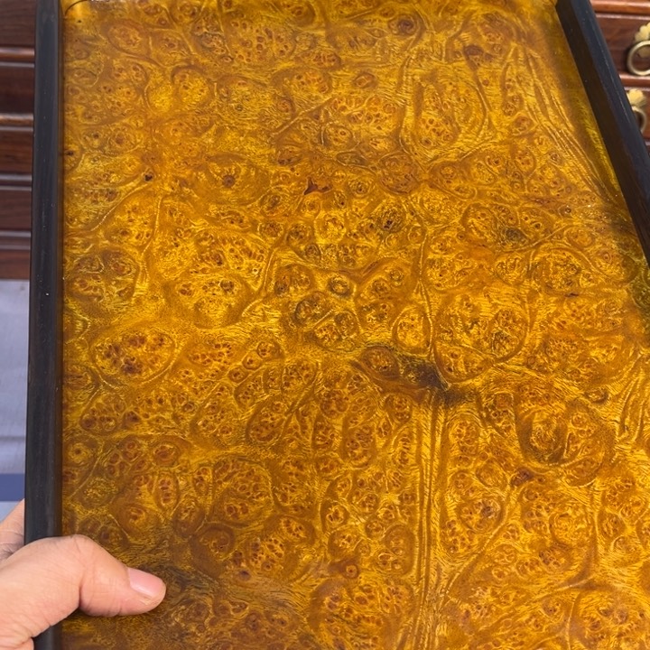 木黄金樟留疤超大托盘