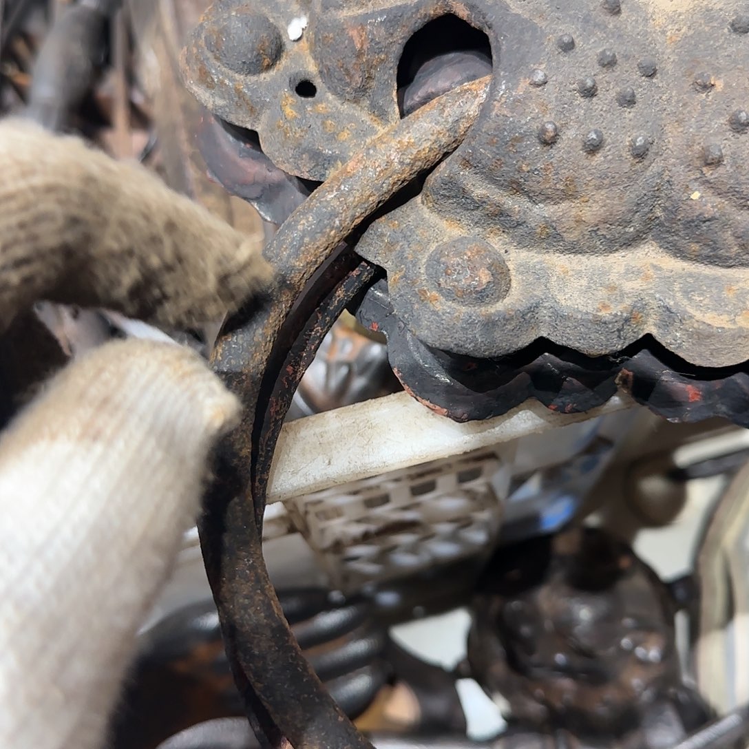 春***意一物一图看好在拍