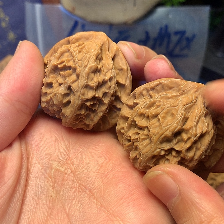 41尺全品无修苹果灯