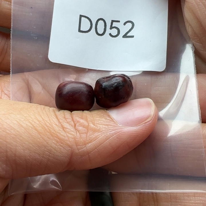 和田玉（糖玉）未镶嵌珠宝半成品