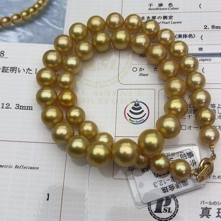 颈饰海水珍珠合金9.2-12.3浓茶金项链（真科研S S）