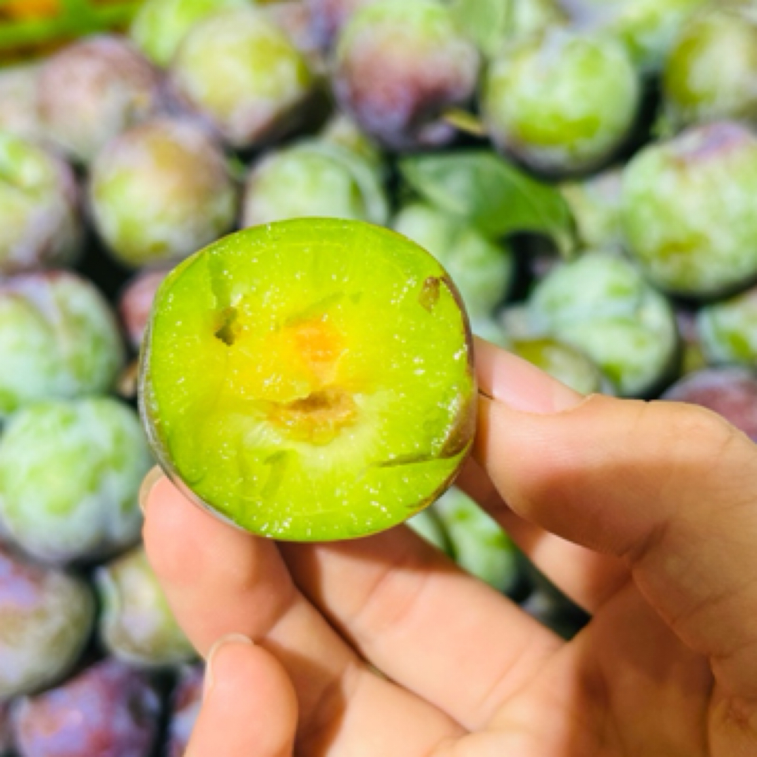 冰糖李李500克李子同城送