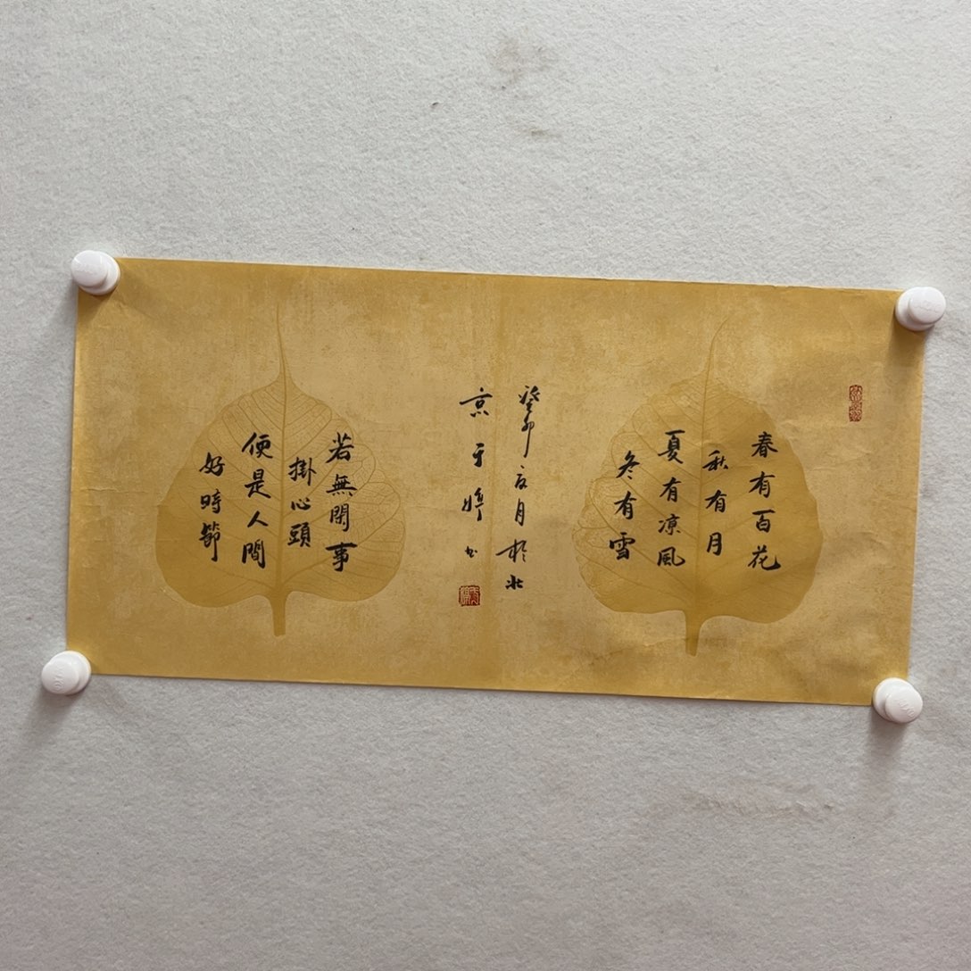 书法于婷老师作品