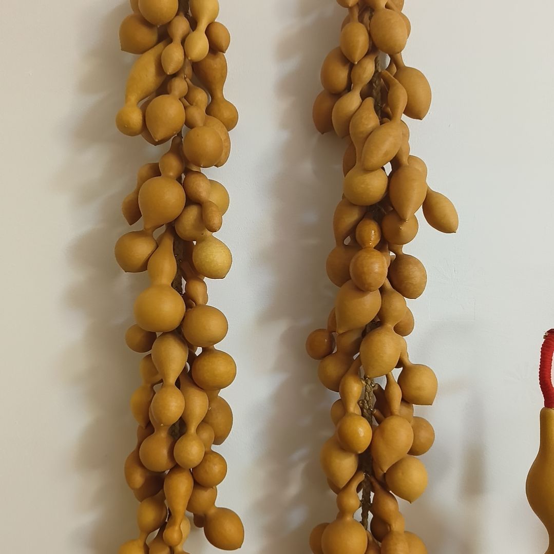 一***一两个葫芦串串你好啊老板