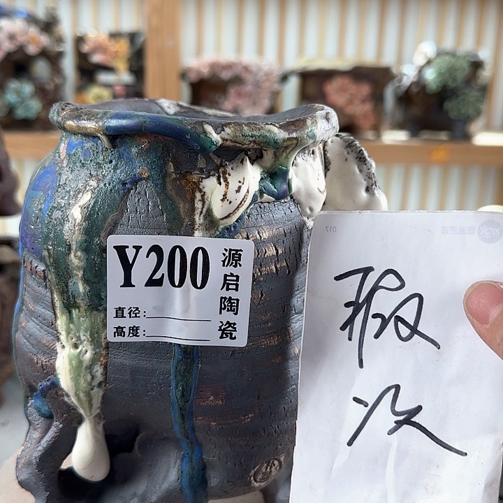 紫砂花盆景德镇陶瓷多肉200