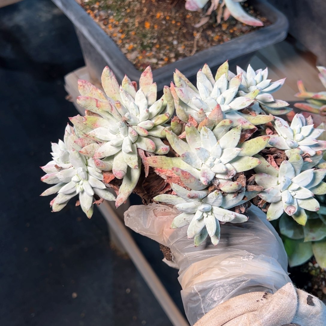 7477哈哈哈哈哈哈哈哈